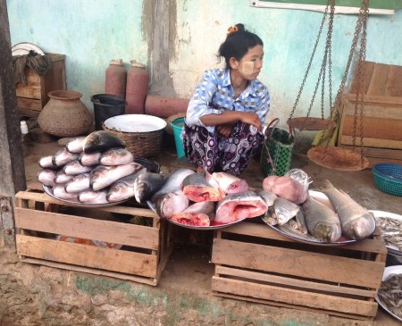 Fish for sale at Nyaung Un market, Bagan
