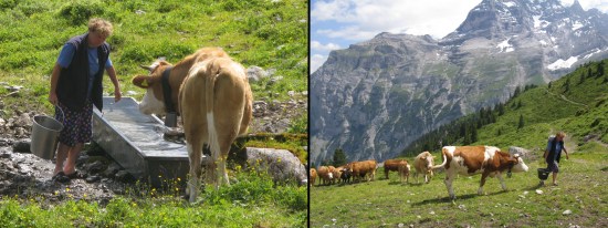 Life on the Alp is fairly basic. Fresh running stream water is on hand but has to be carried to the house
