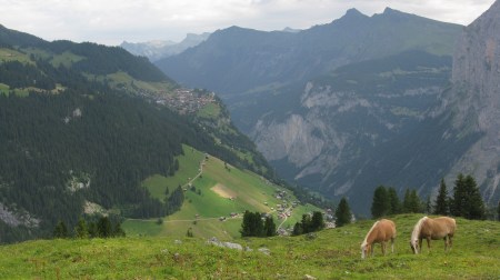 There are glorious views to the writers home village of Murren from Busenalp