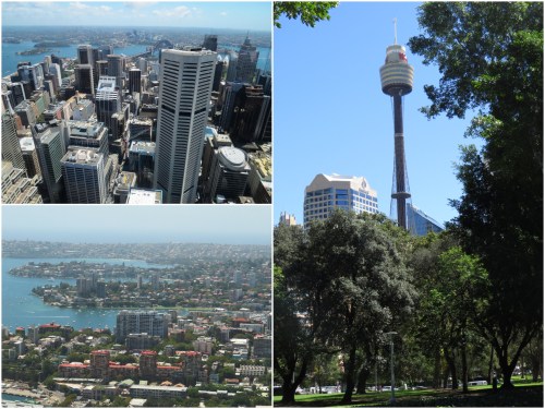 The Sydney Tower affords magnificent views over the City centre, Harbour and the entire Sydney conurbation.