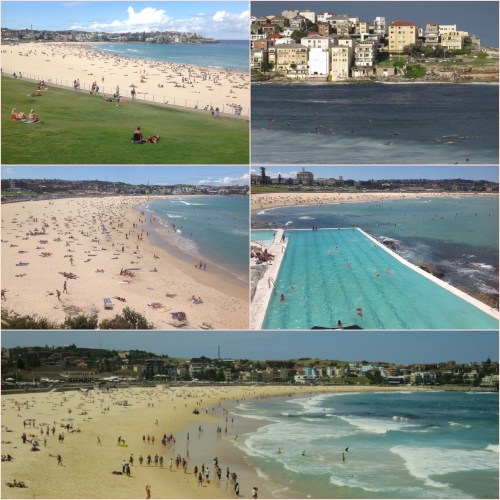 Bondi is always busy with locals, tourists and backpackers all keen to visit this iconic beach.