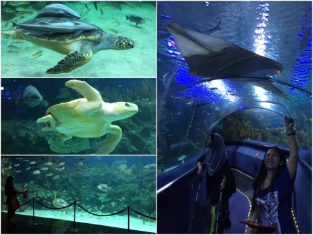 The State of the Art Aquarium is a must see attraction.