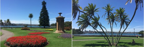 Sydney’s Botanical Gardens provide a tranquil Harbourside haven.