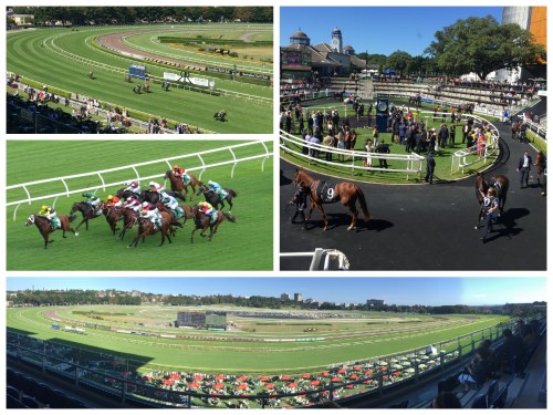  Many believe Australian Racing is the world’s finest and both Sydney and Melbourne boast courses that rival any in the world. The writer has been visiting Sydney’s famous Randwick racecourse for over 40 years and it was the site for his first business venture!
