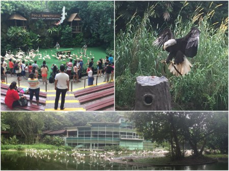 12 The Jurong Bird Park has been one of Singapore’s most popular attractions for decades.