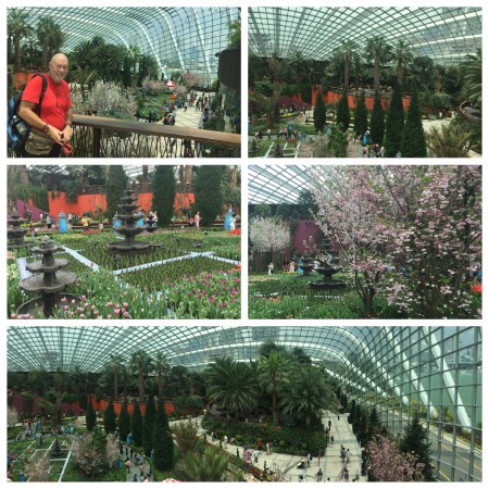 16 The Flower Dome contains a number of themed Gardens all under a vast dome and is an air conditioned haven in humid Singapore!