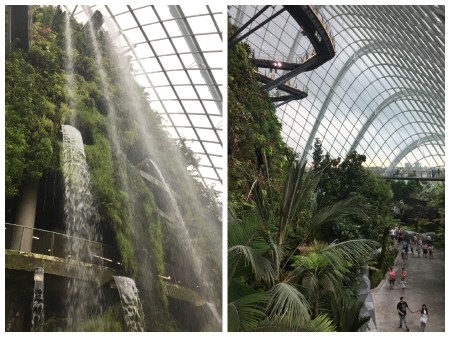 20 The Cloud Forest Dome replicates the cool moist conditions found in tropical mountain regions.