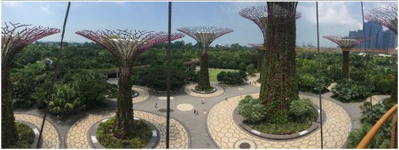 22 The Supertrees are one of the distinctive landmarks of contemporary Singapore.