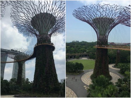 23 The Supertrees also provide a venting system for the Domes and are one of the highlights of the Gardens by the Bay.