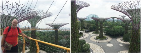 24 A six storey elevator inside one of the trees provides access to the skyway connecting the giant Supertrees.