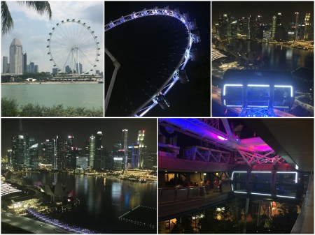 31 The Singapore Flyer is one of the world’s tallest Ferris Wheels and offers great views over the Gardens by the Bay and downtown Singapore.