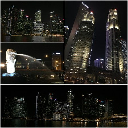 7 An evening cruise on the River offers a grand selection of spectacular night time views. The Merlion is the symbol of Singapore.