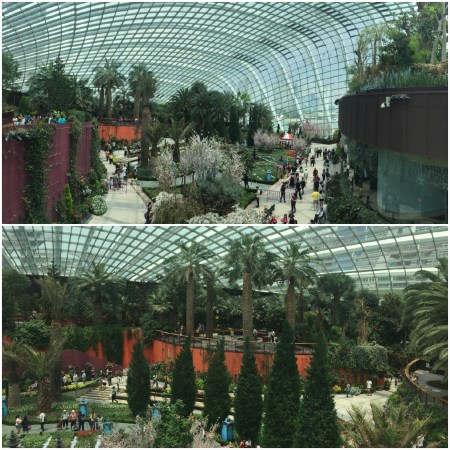 Inside the flower dome