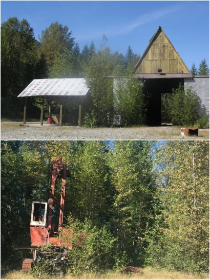 We discovered an disused timber camp with a crane and fine buildings abandoned in the forest.