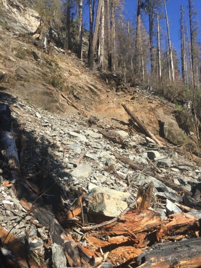 Forestry Roads are always liable to debris from landslides and rock fall. This landslip did not impact on the road.