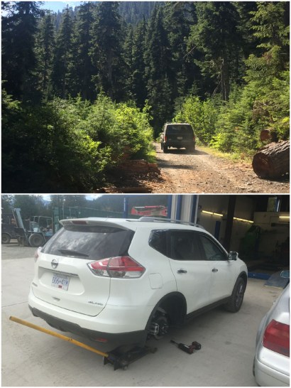 Two weeks later. Another Forestry Road near Madeley Lake. Another problem – this time a puncture to the Nissan!
